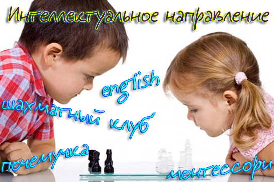 интеллектуальное направление: шахматный клуб, почемучка, монтессори, english, энциклопедия для малышей
